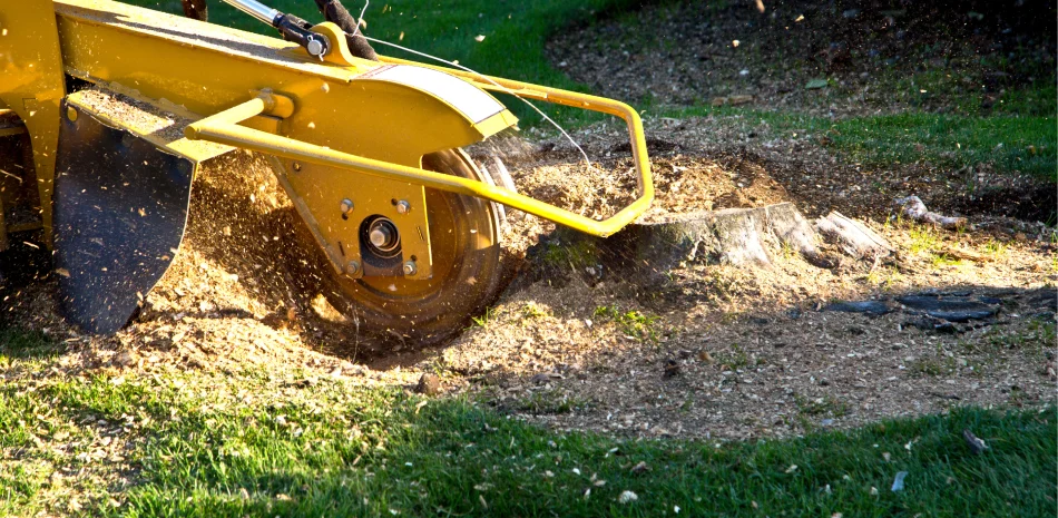 Stump Grinding Stump Grinding